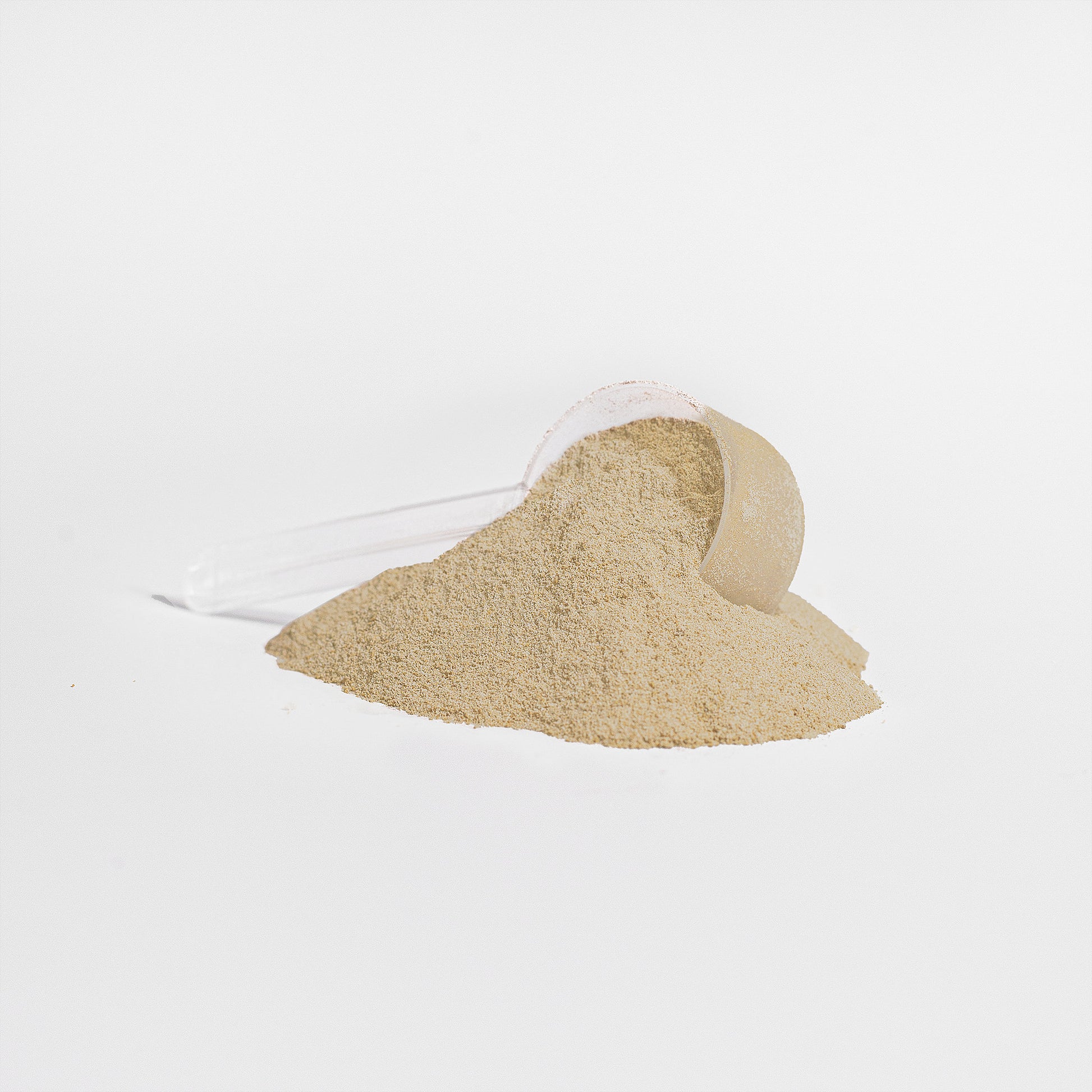 Protein powder and a scoop on a white background.