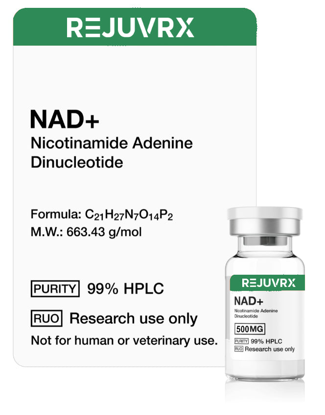 REJUVRX NAD+ supplement bottle with label on a white background